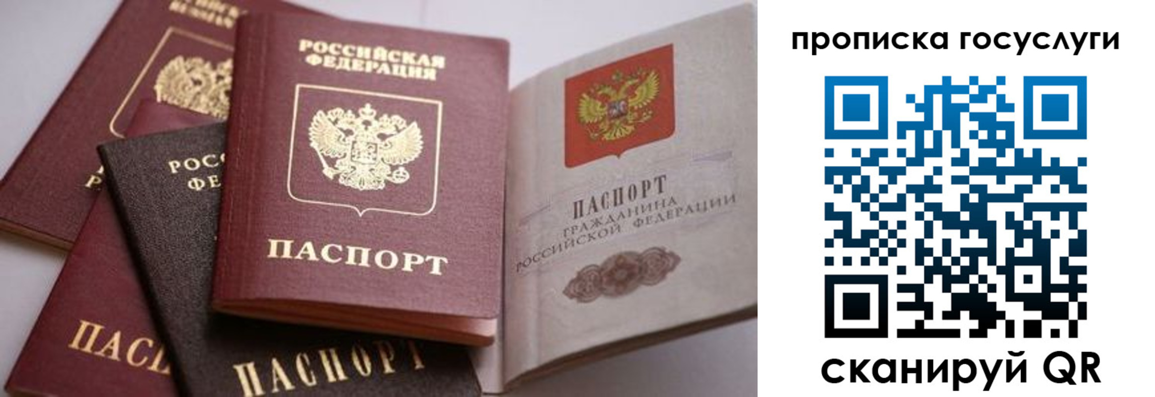прописка иностранных граждан в Райчихинске